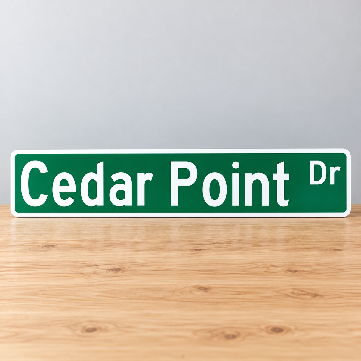 Cedar Point Drive Street Sign