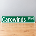 Carowinds Boulevard Street Sign